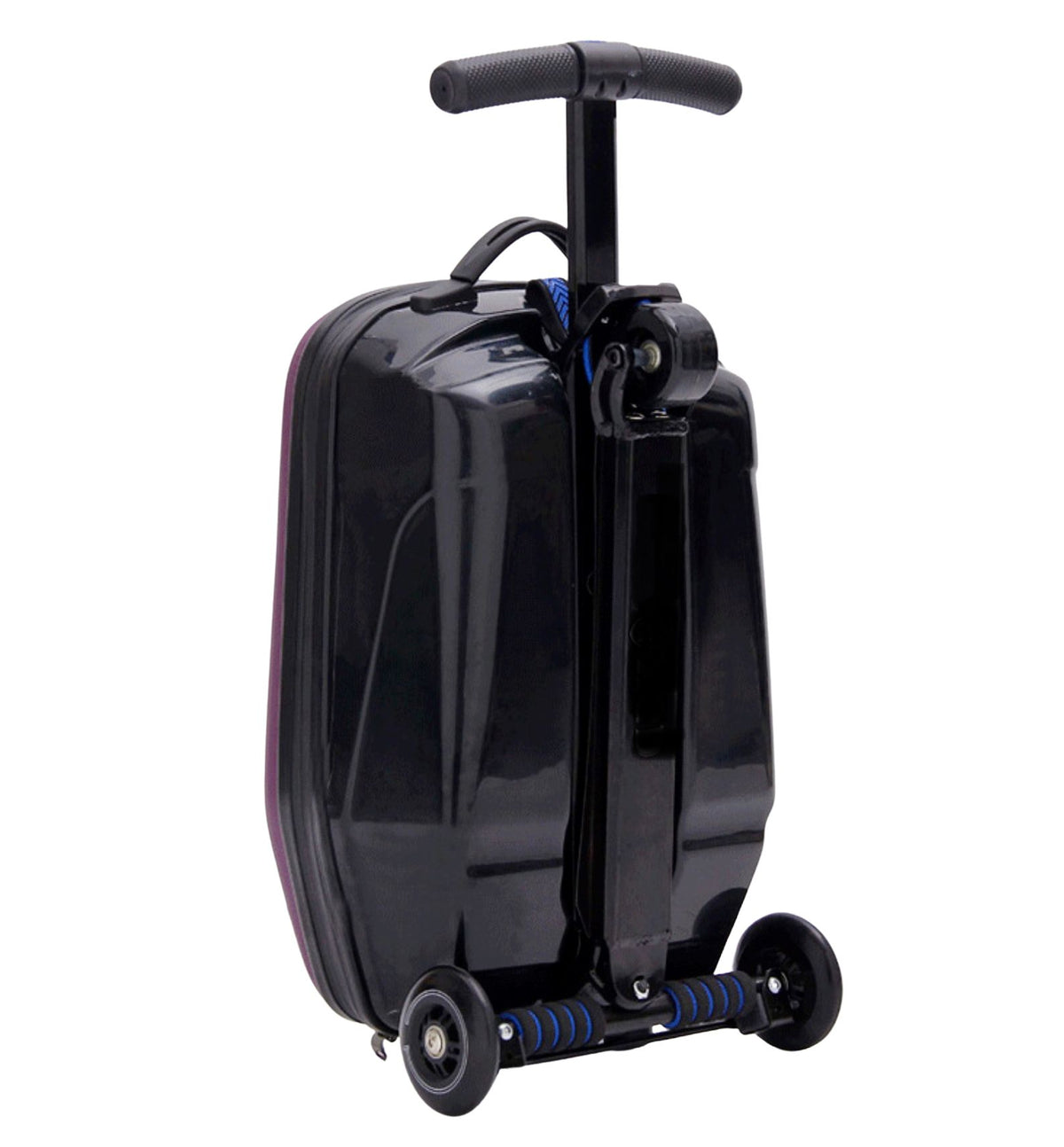 Trottifly Blue Series 